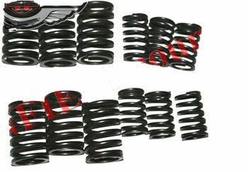 TAURISH Head Valve Spring Inner & Outer Set of 12 Units For Massey 1035 Tractor
