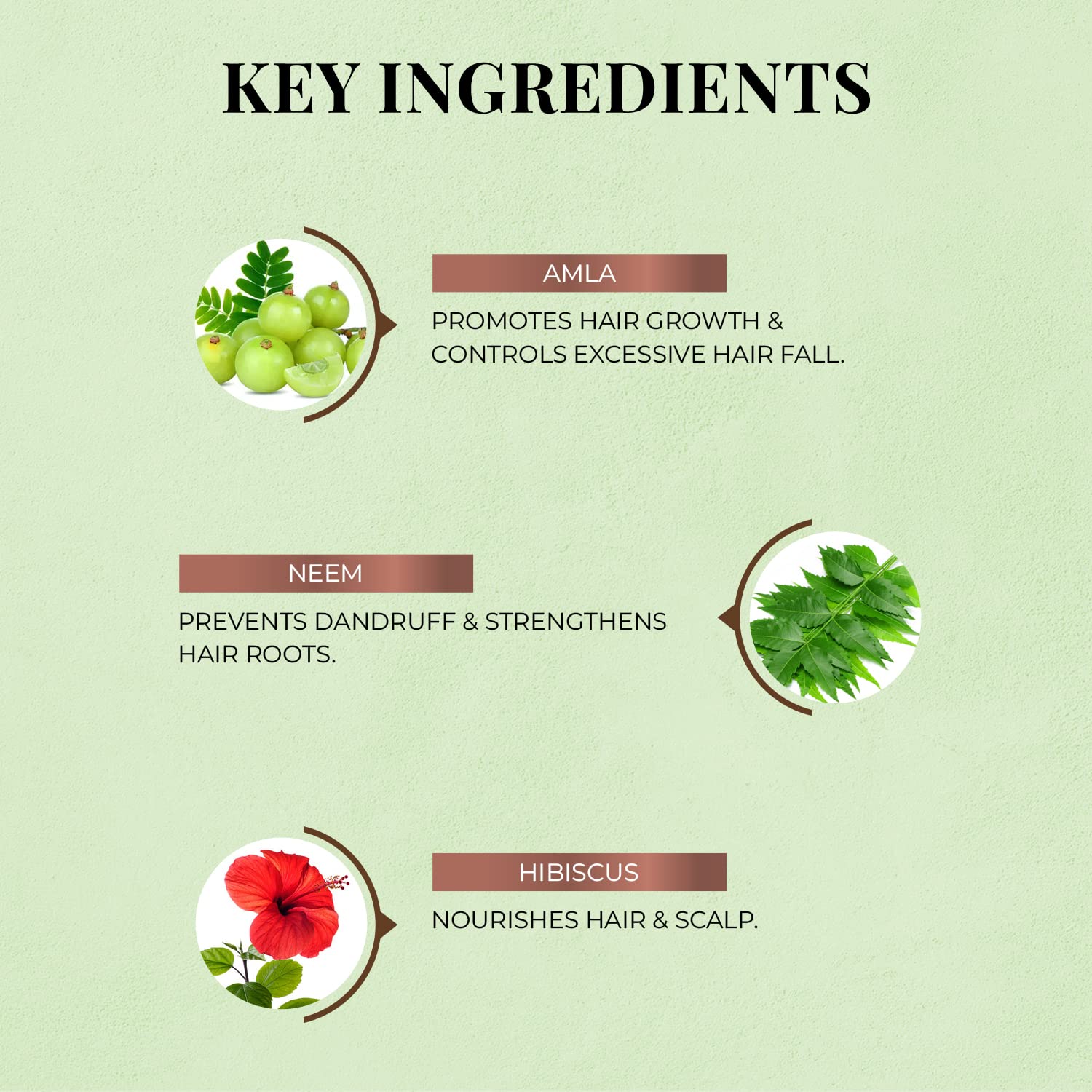 Just Herbs 8 In 1 Root Nourishing Amla Neem Shampoo (200 ml)